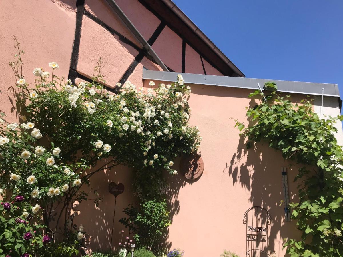 Königstein in der Oberpfalz Haus Am Markt מראה חיצוני תמונה